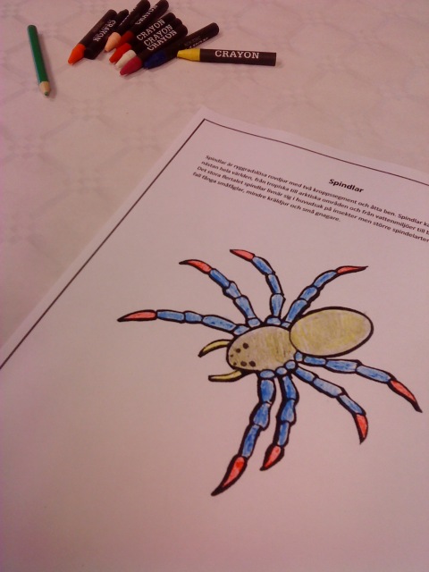 jag färglade en spindel